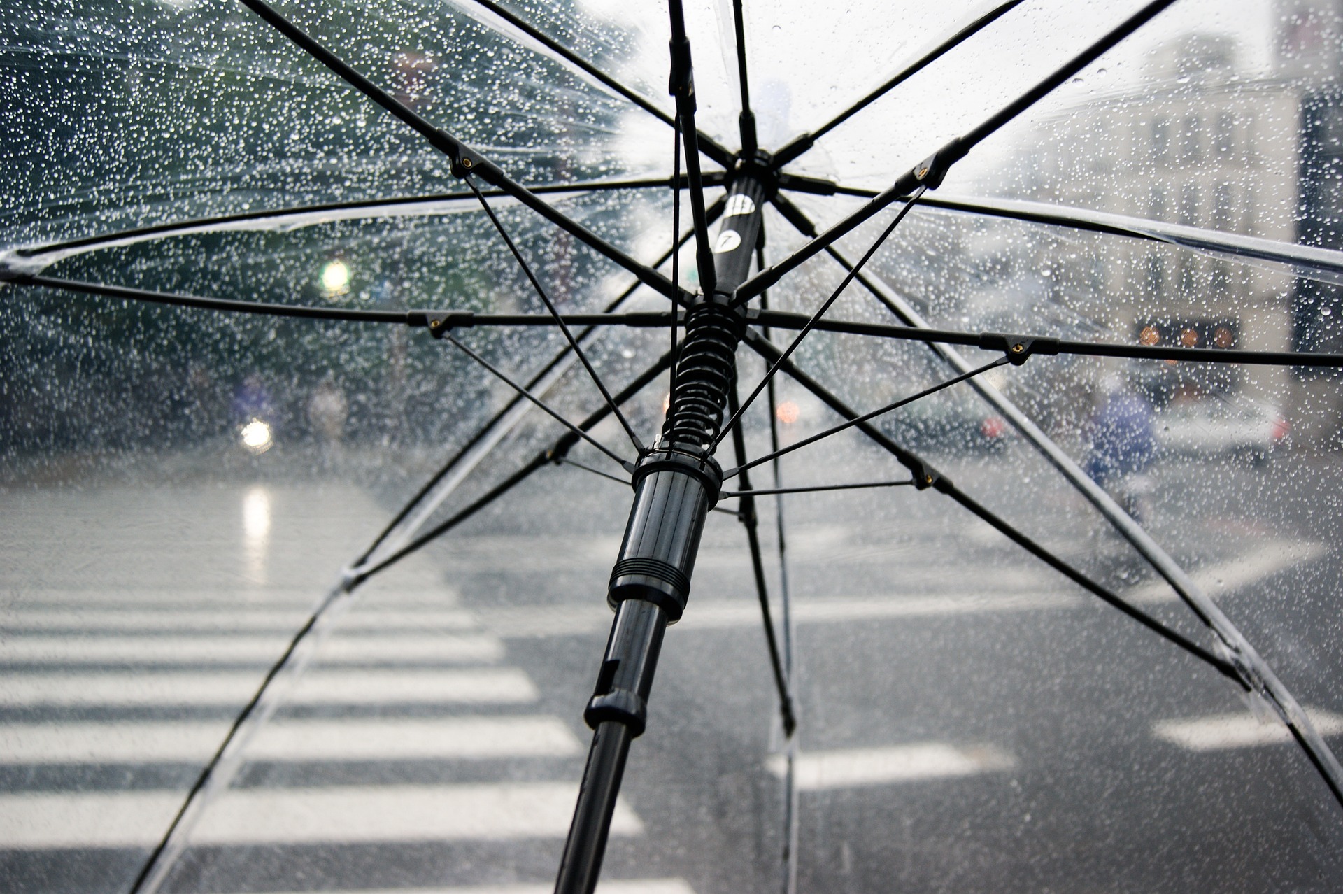 傘, 折りたたみ傘, ミニマリスト, ひとりの時間